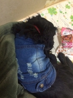りえ