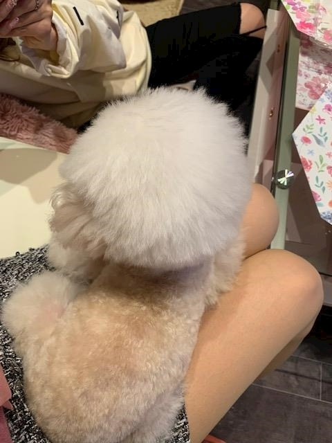柿原 雅