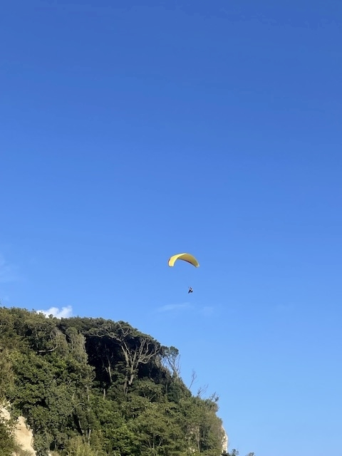 愛川 らん