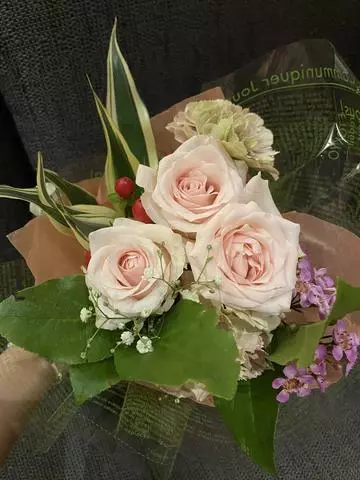 白石 愛莉