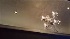 桃瀬 百華