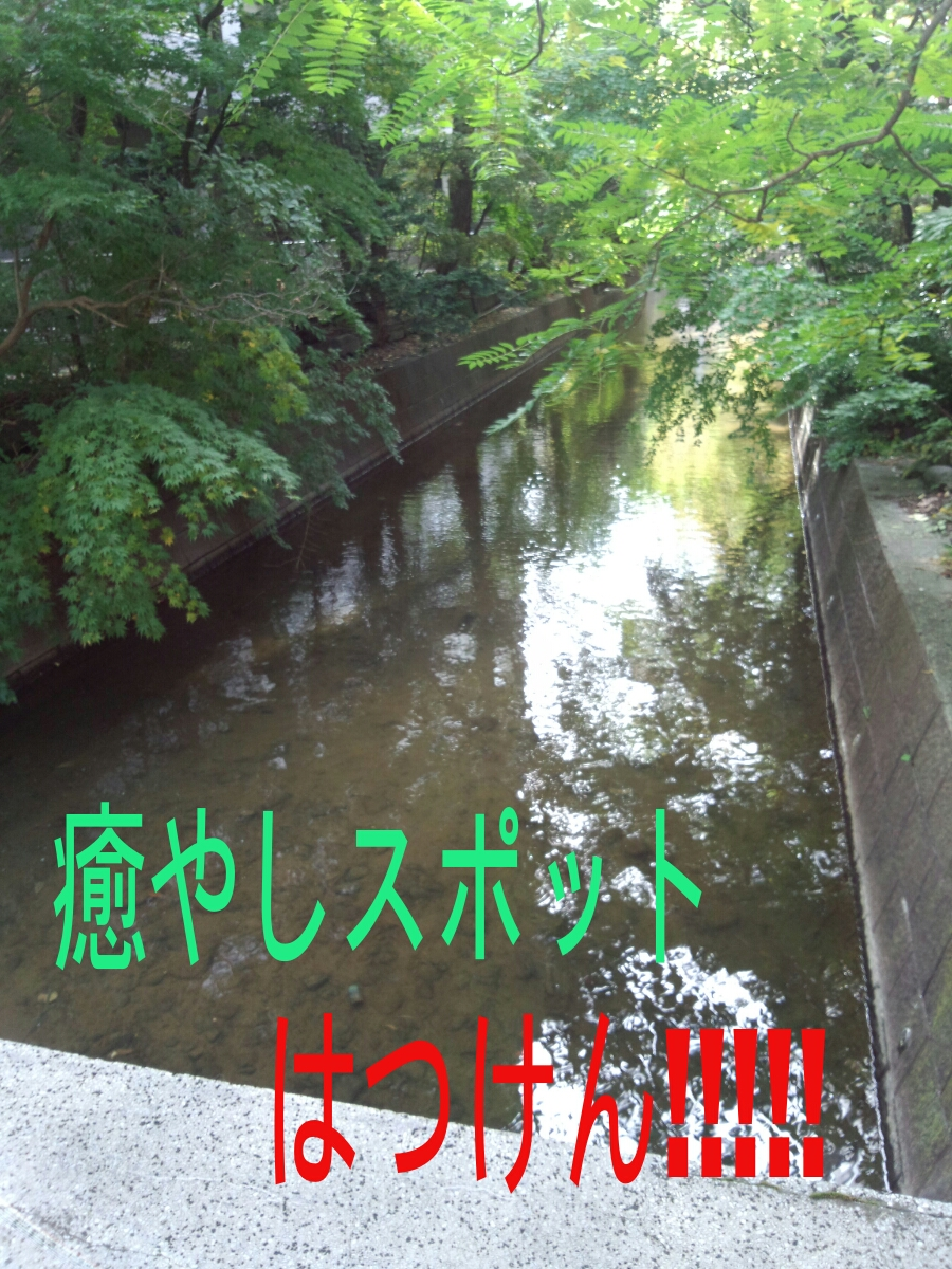 橘 あんな