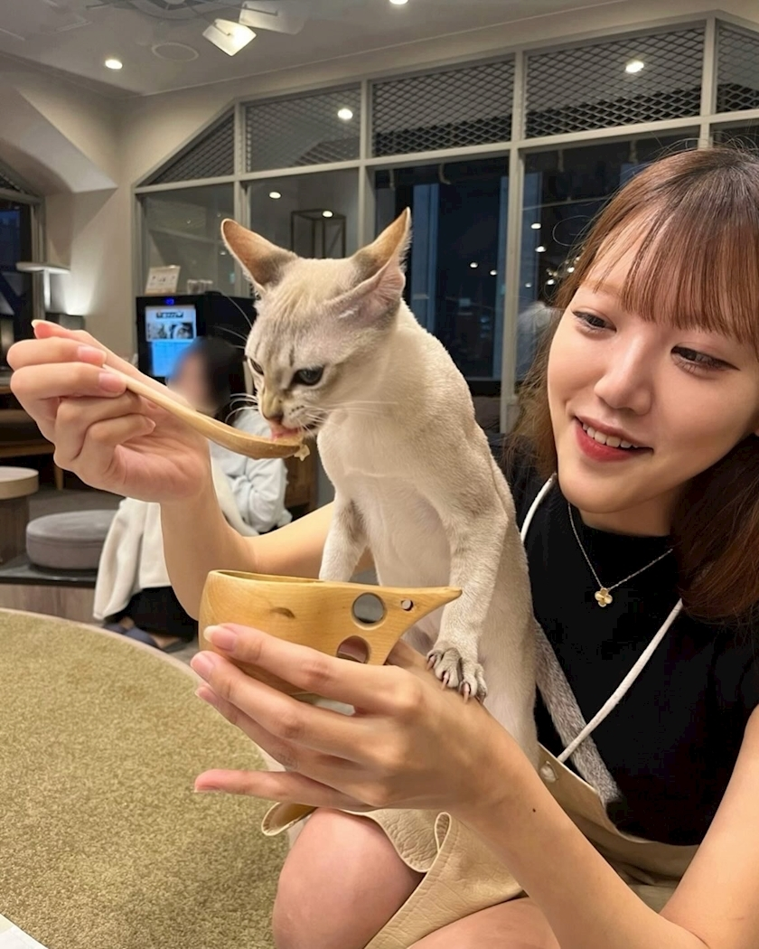 しおり