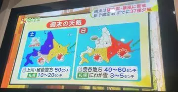 七星 夏純