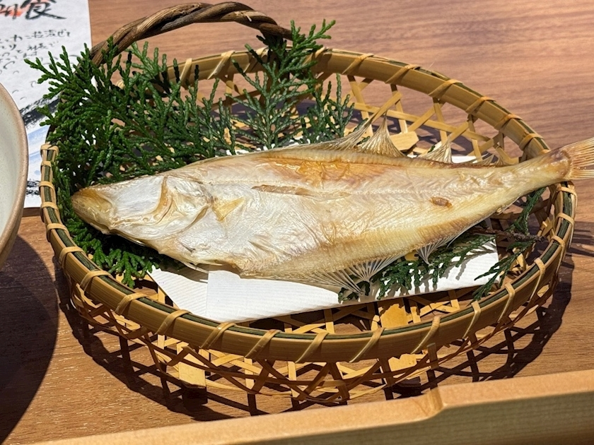 香川 ゆい