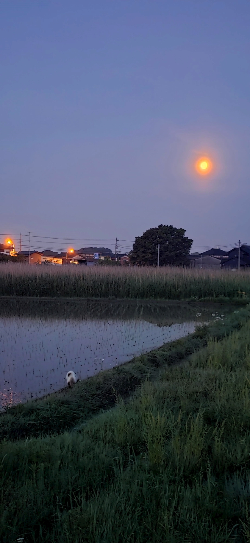 りか