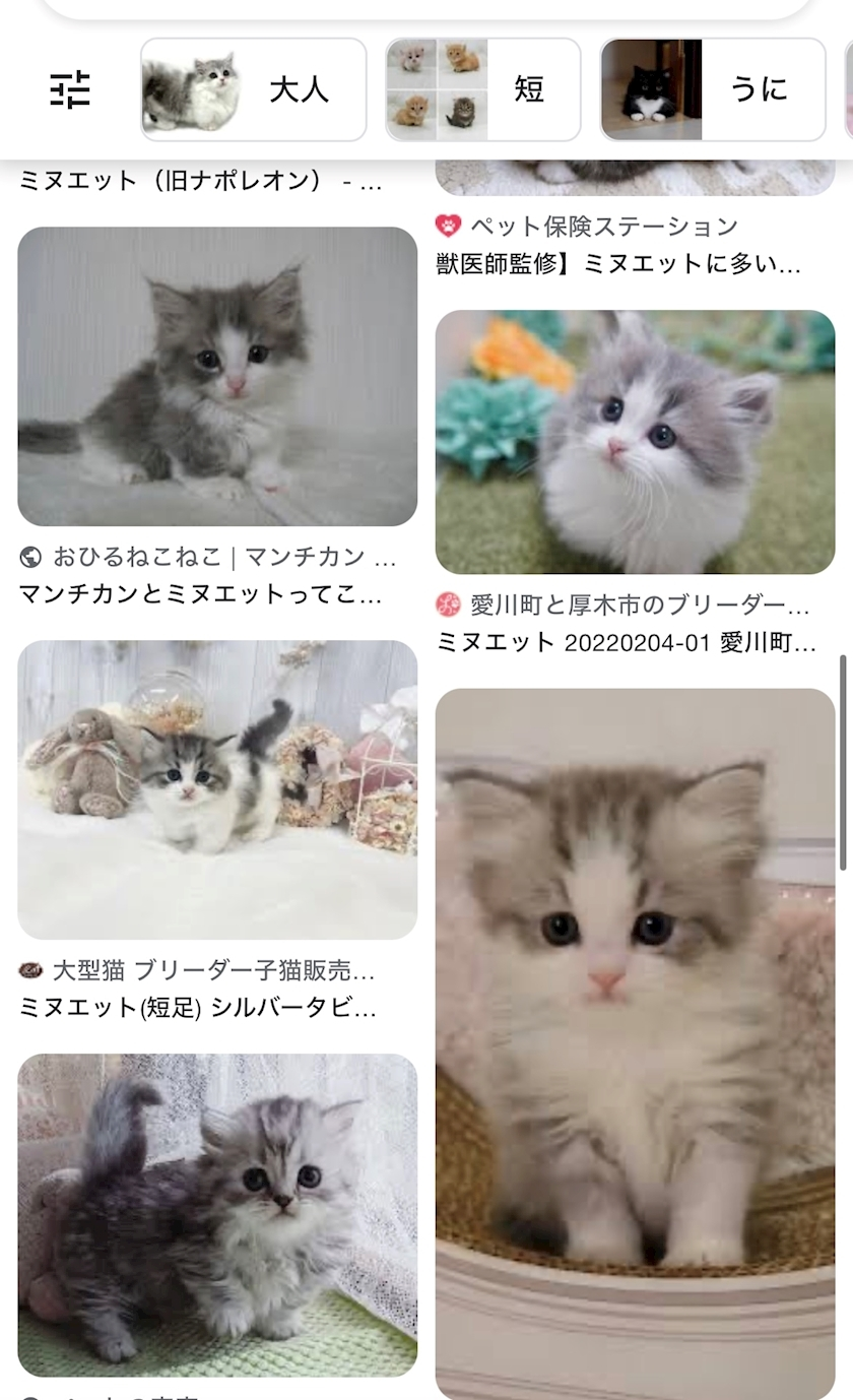 せいら