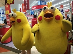 姫花