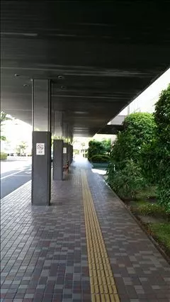 桃瀬 百華