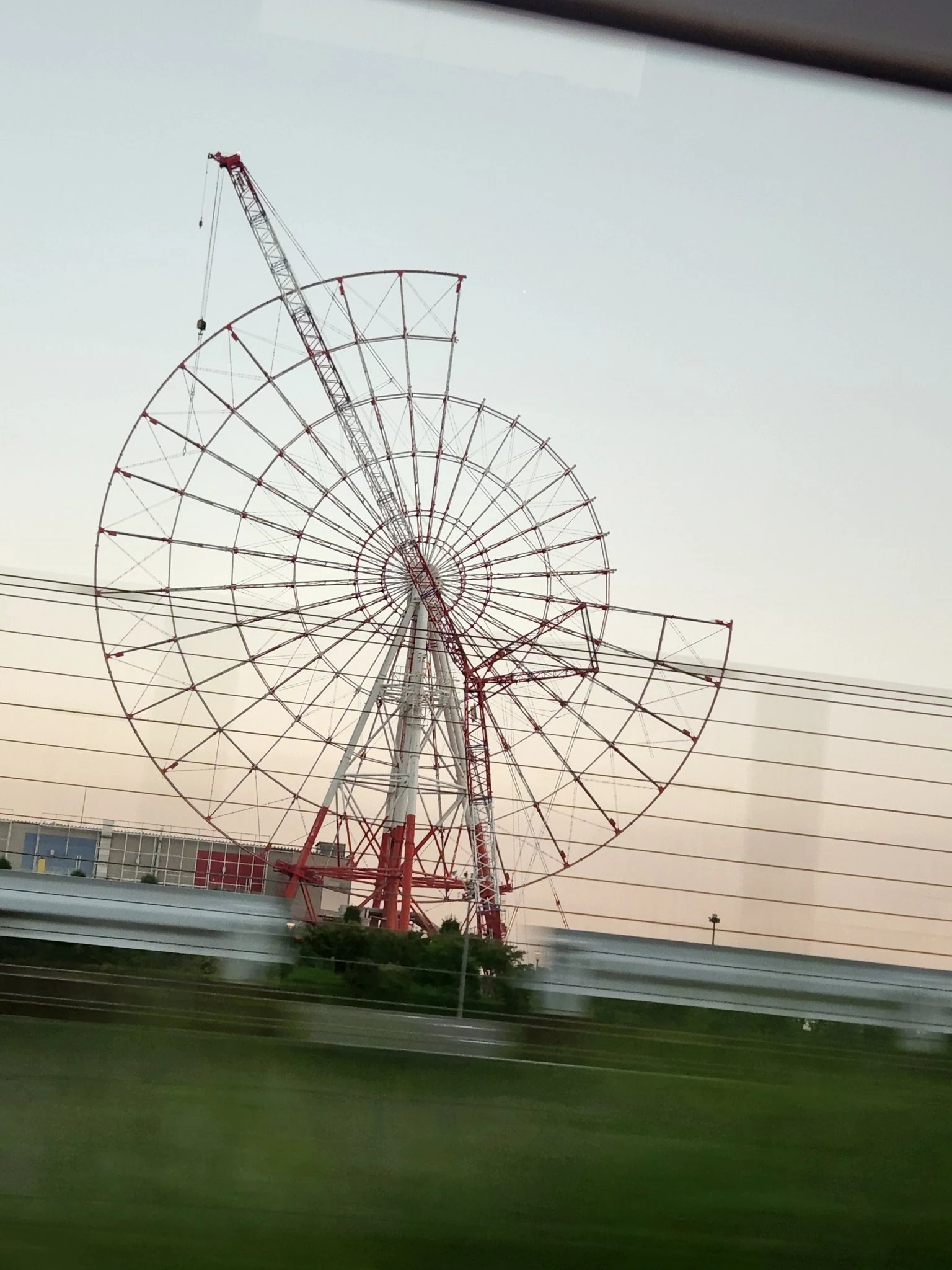 紫音