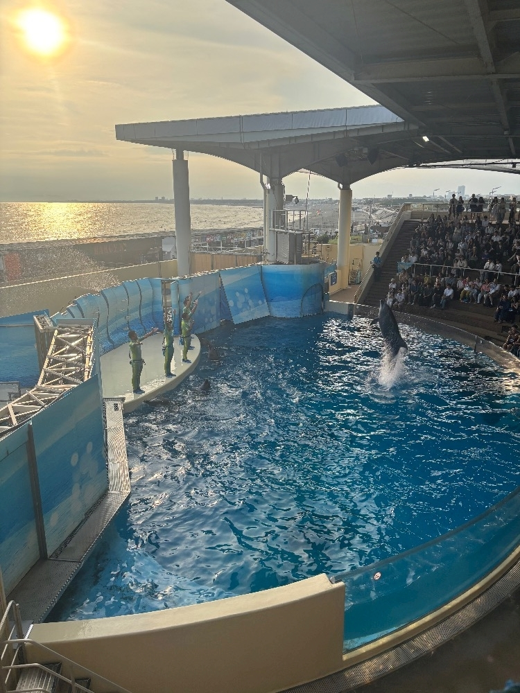 みーたん