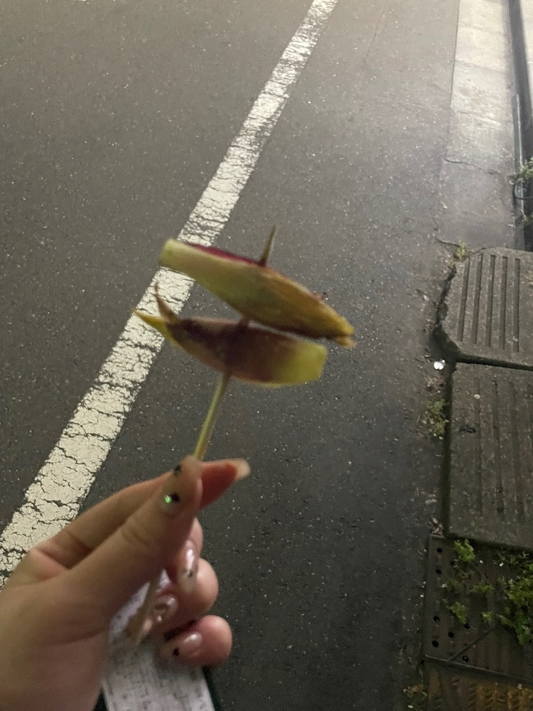 みあ