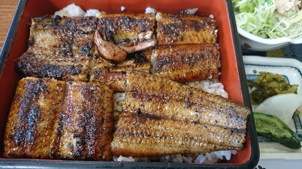 五条 椿