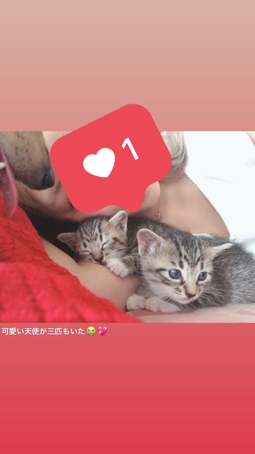紗貴