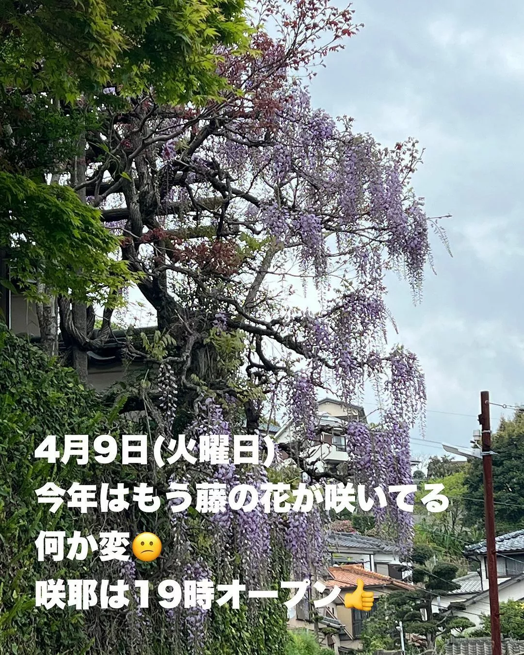 藤本 祐子ママ