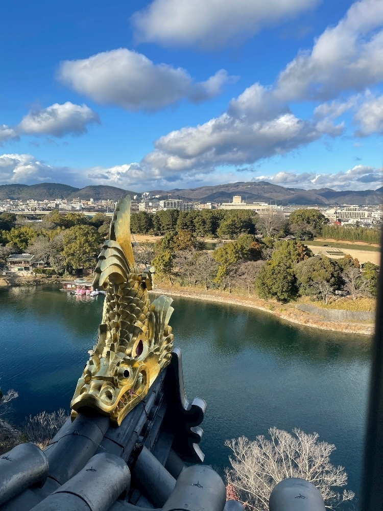 つばき