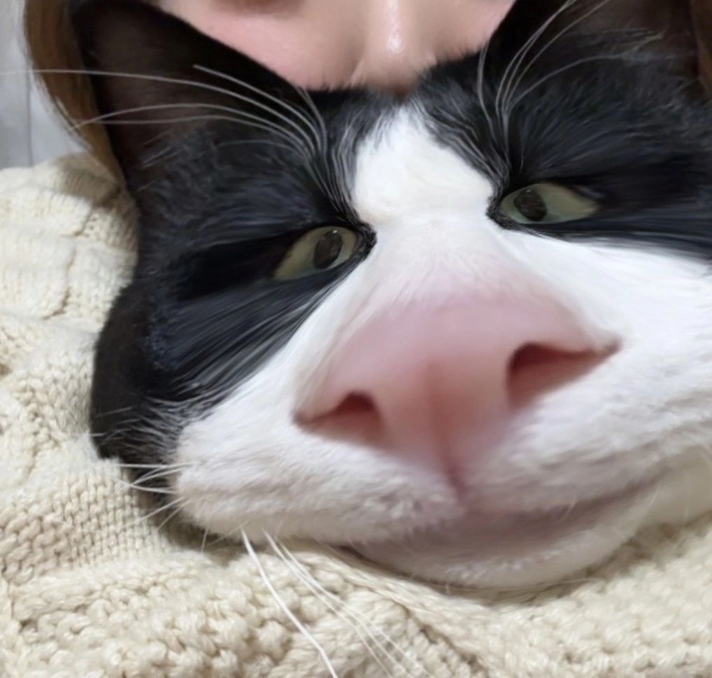 あやね