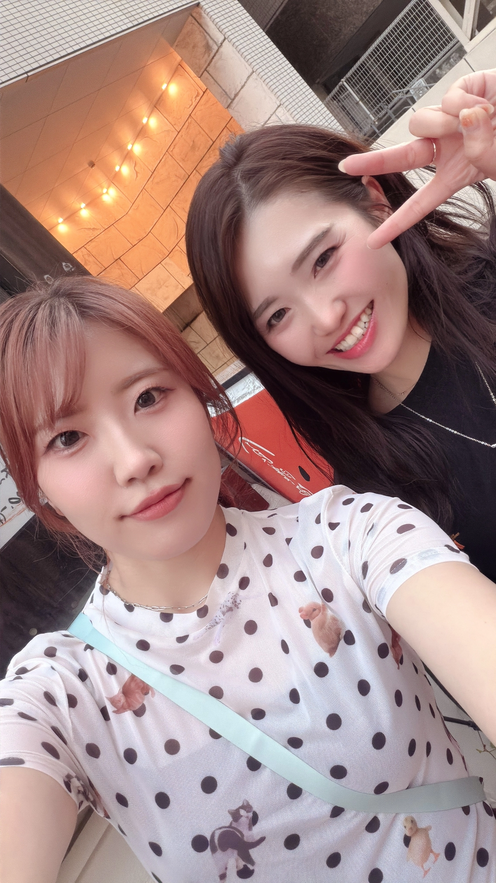 しおり