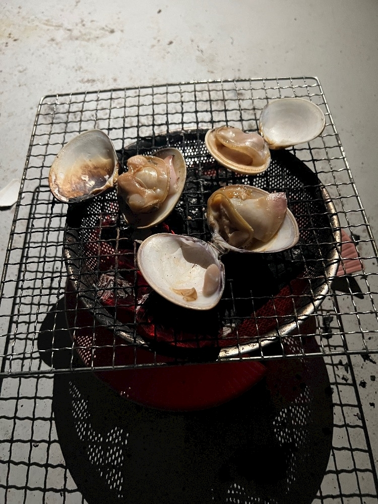 藤城 あん