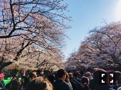 優月 あや菜