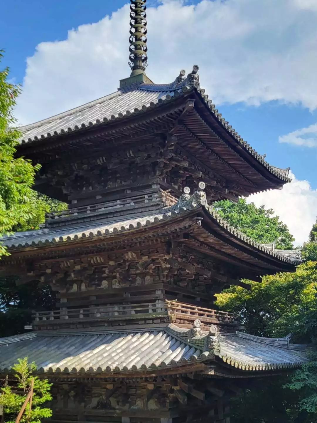桃園 かんな