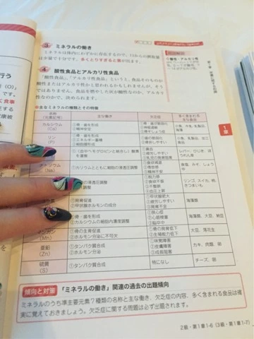 蓮見 リア