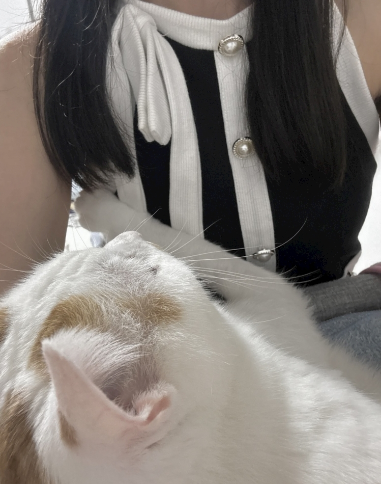 ゆに
