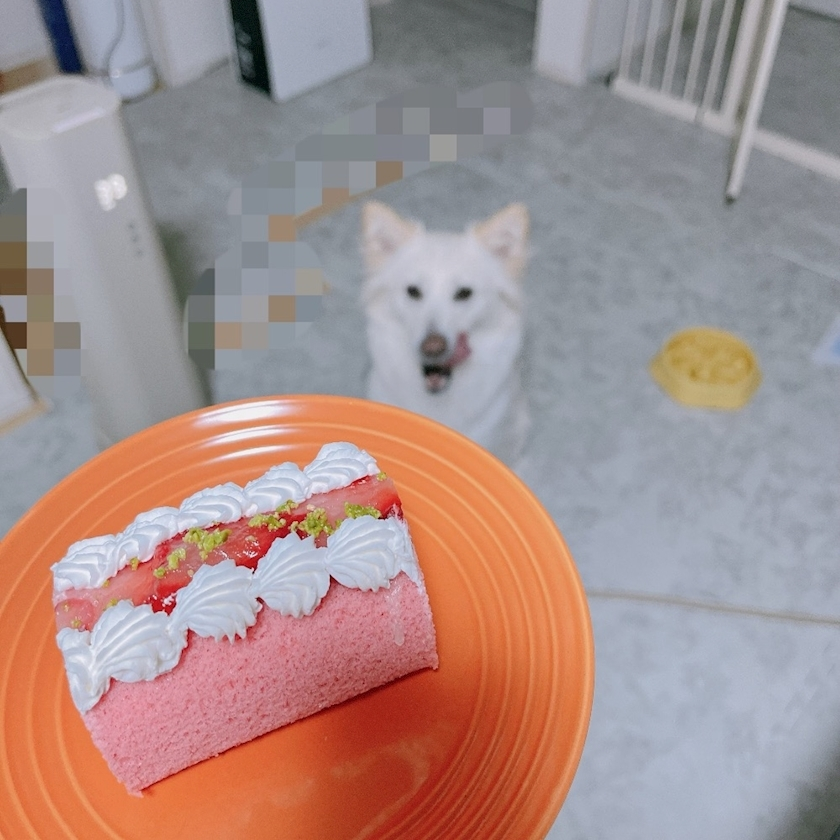 京 さゆみ