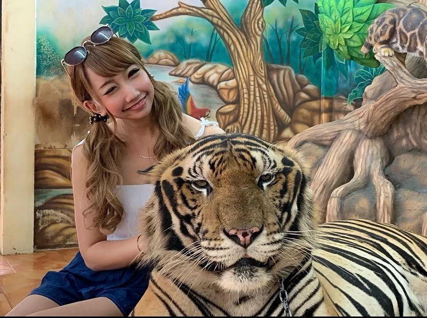 ありす