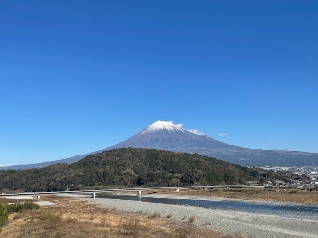 椎名 くるみ