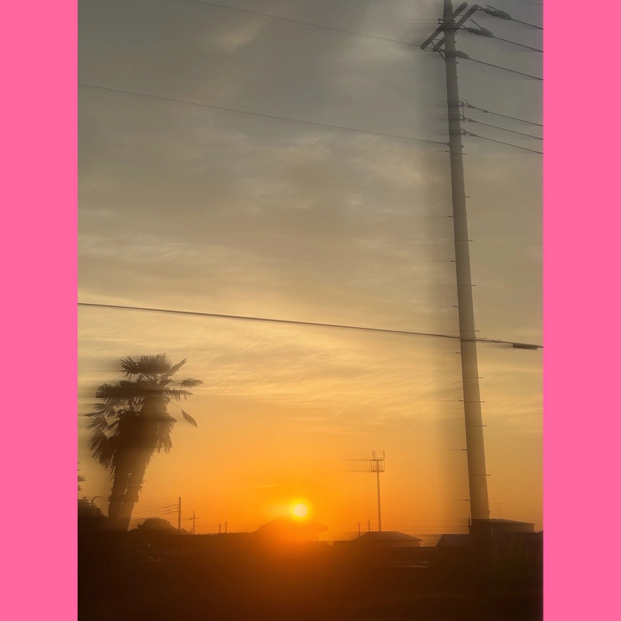 さつき