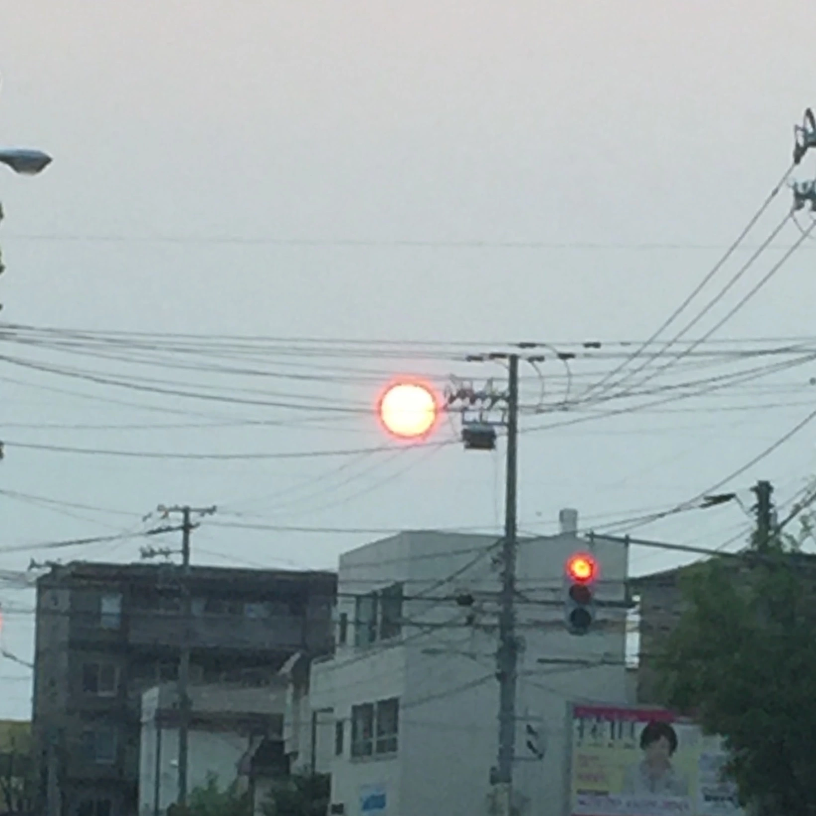 如月 凛