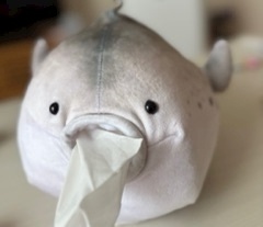 ゆう