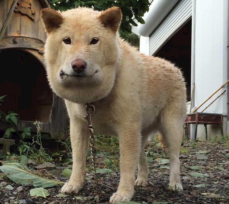 佐倉 里緒