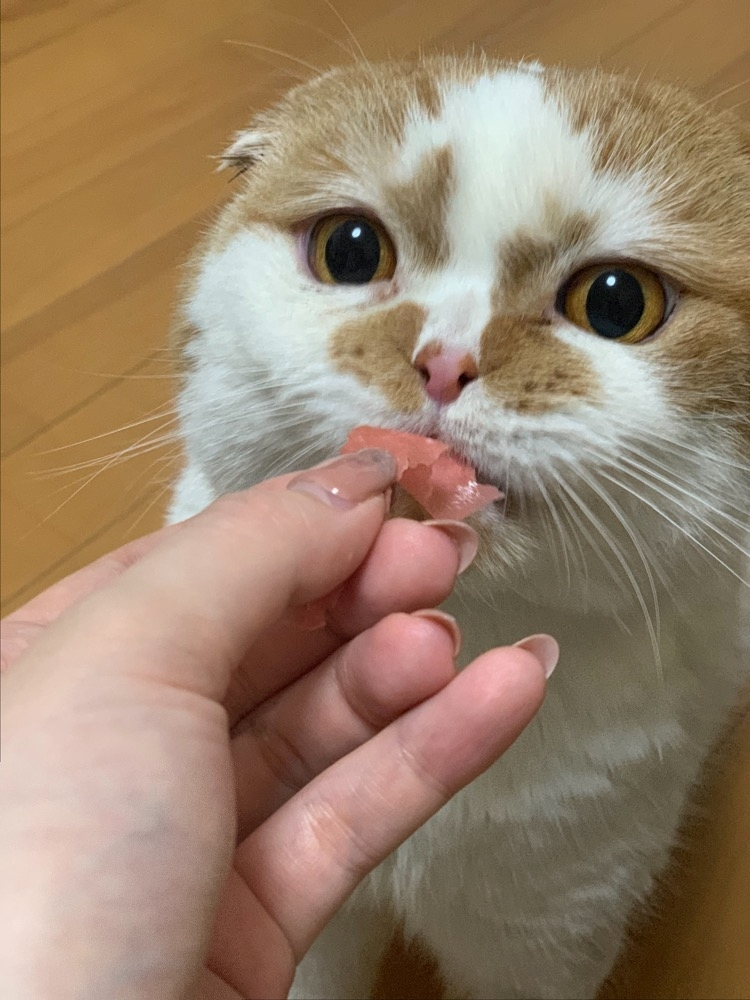 れみ