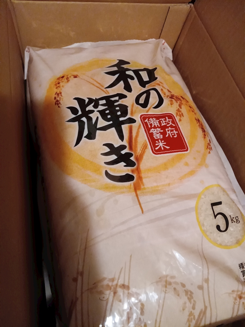 椎名 あき
