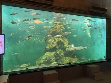 長瀬 純恋