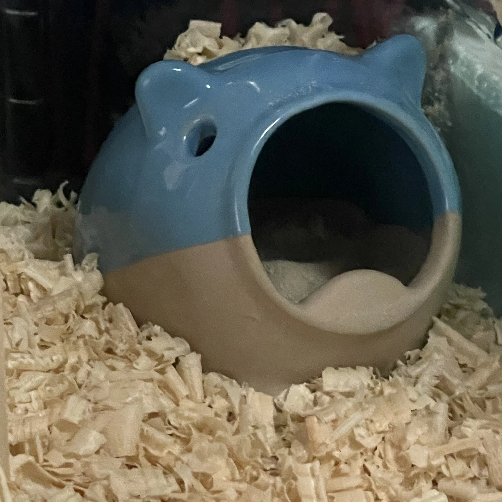 ちゃお