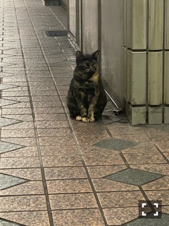 みお