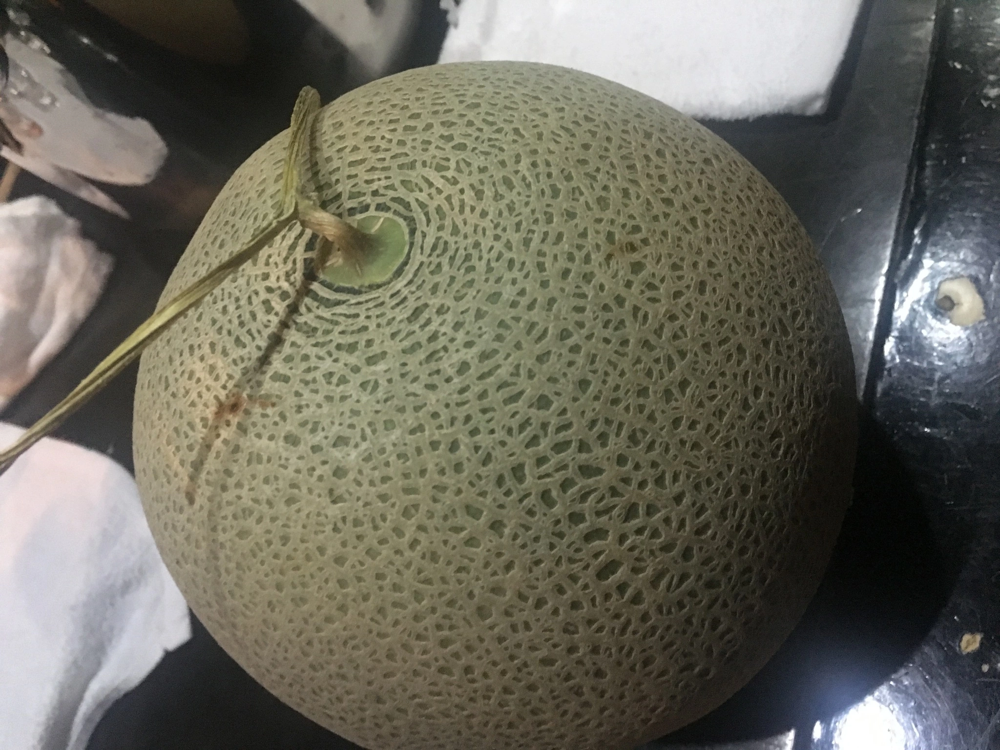 七星 夏純