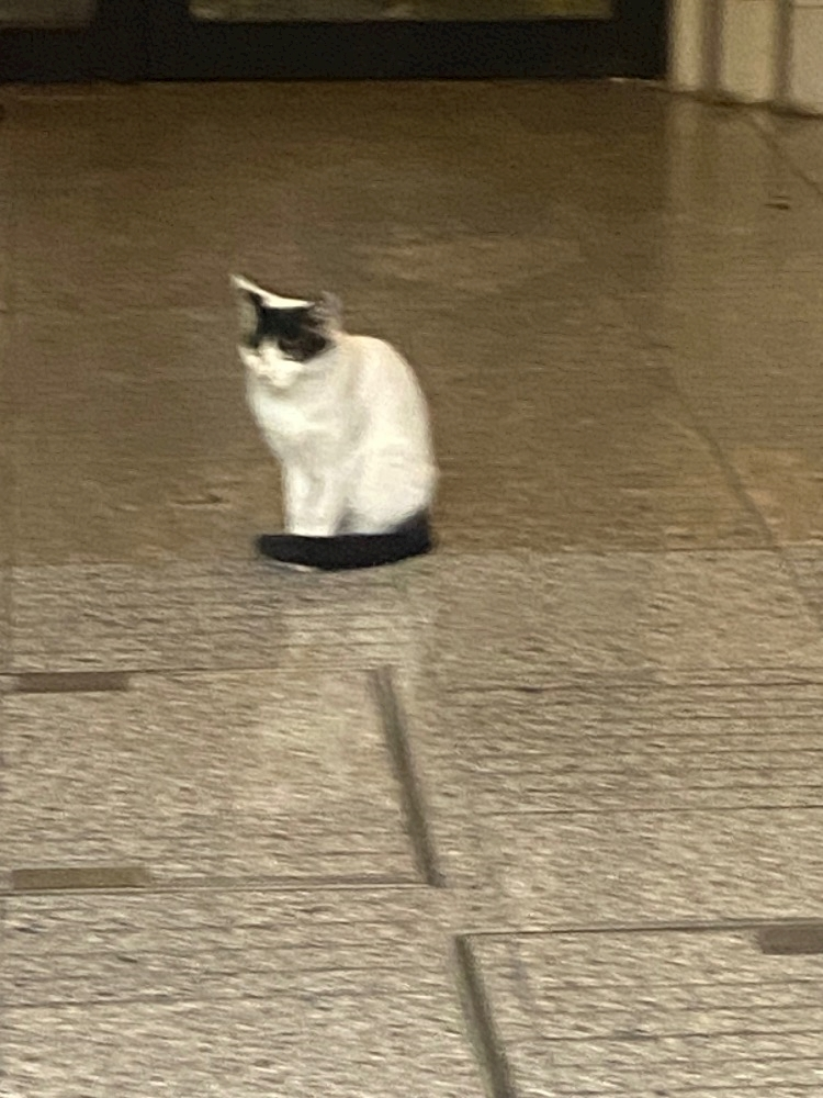 ゆあ