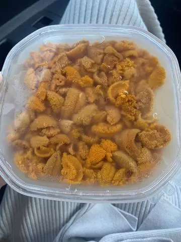 長瀬 純恋