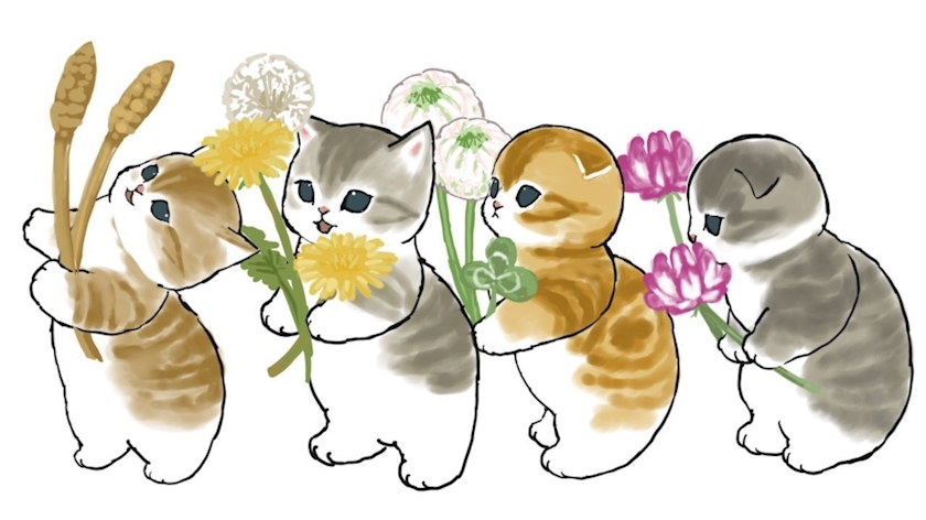 あいら
