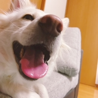 京 さゆみ