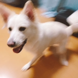 京 さゆみ