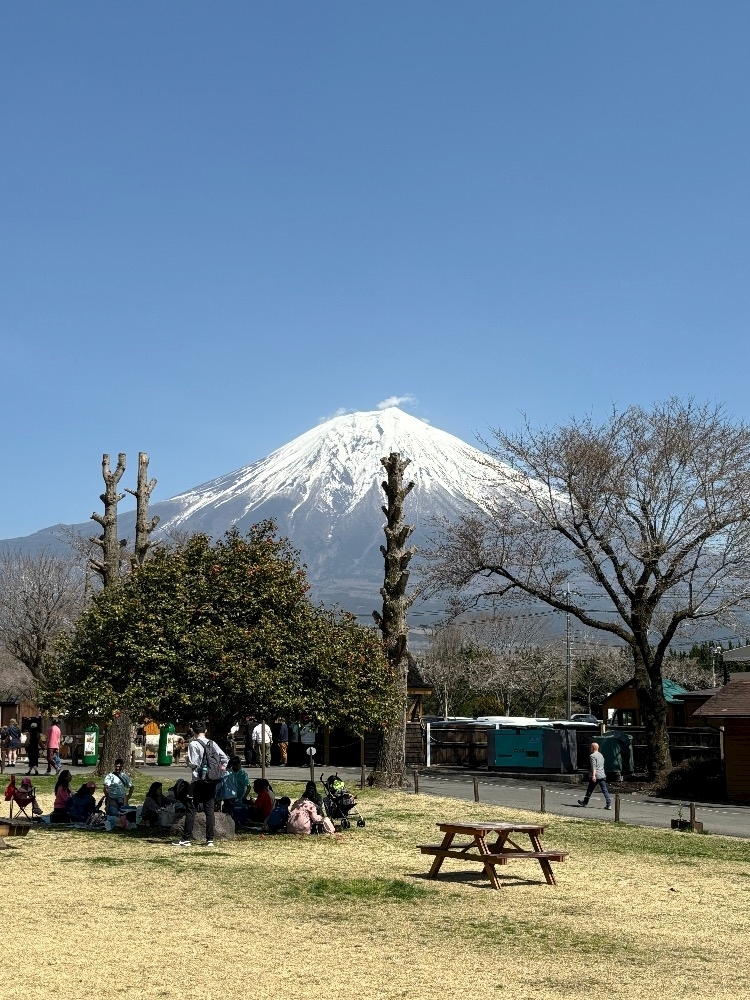 椎名 あかね