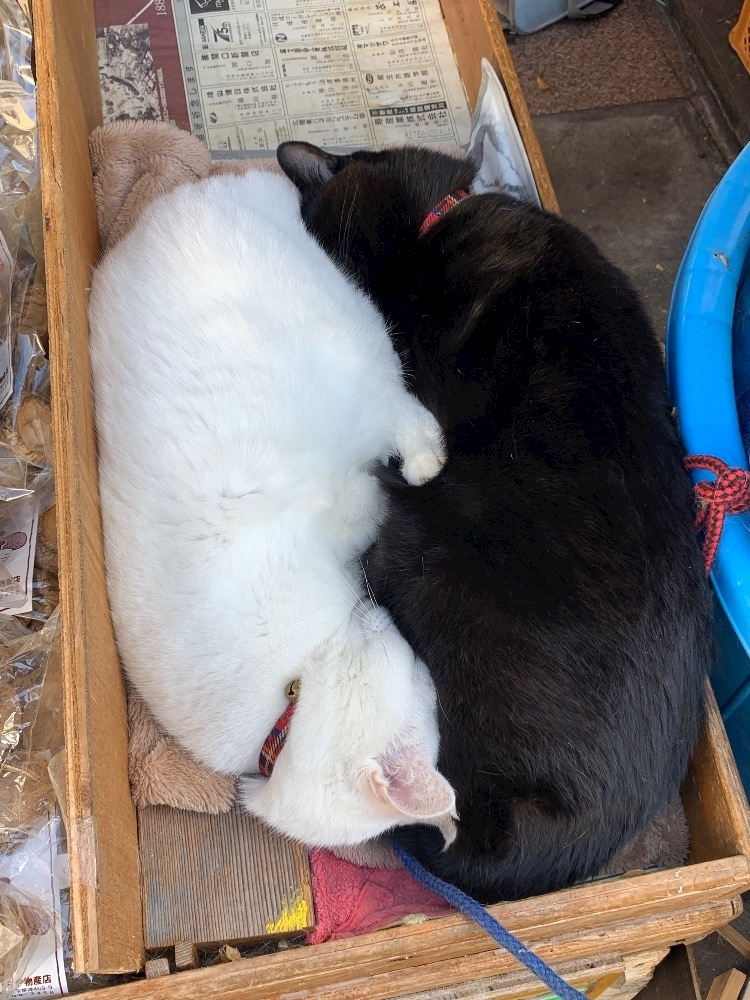 はづき