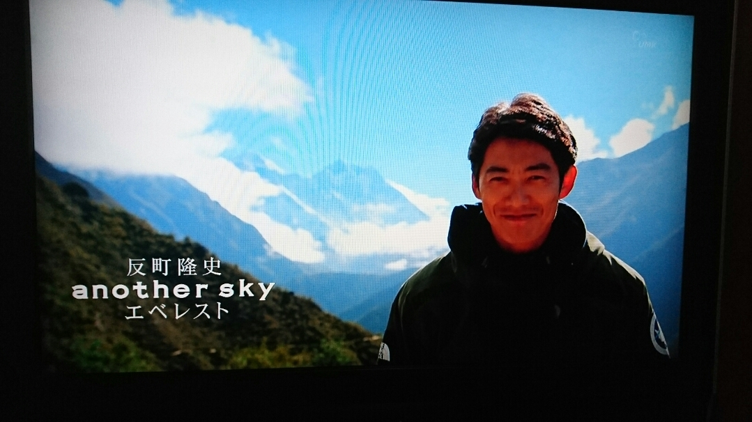 五条 椿
