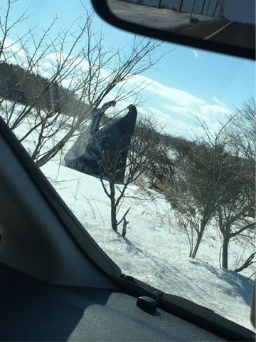 蓮見 リア