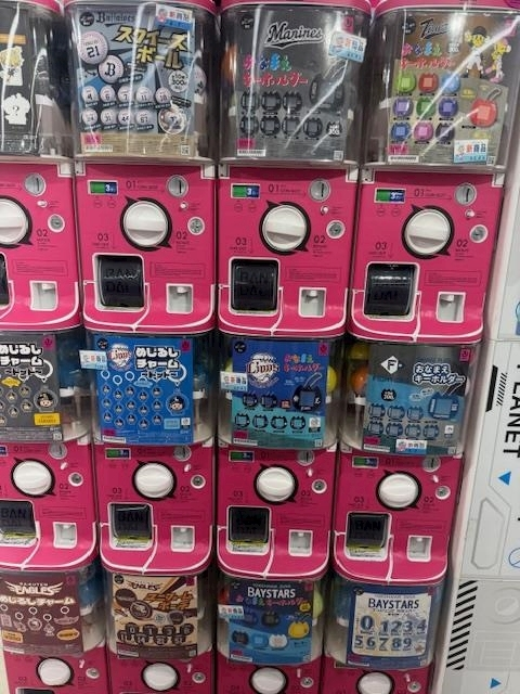 柿原 雅